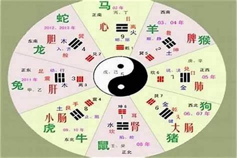 超字五行|“超”字五行属性，求详解